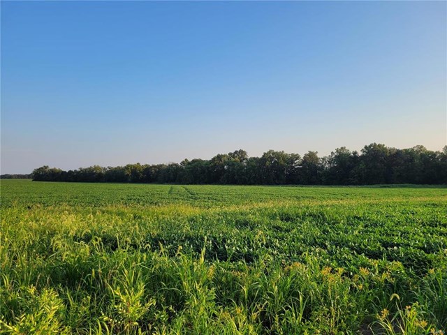 hwy dd (37.53+/- ac) tract f