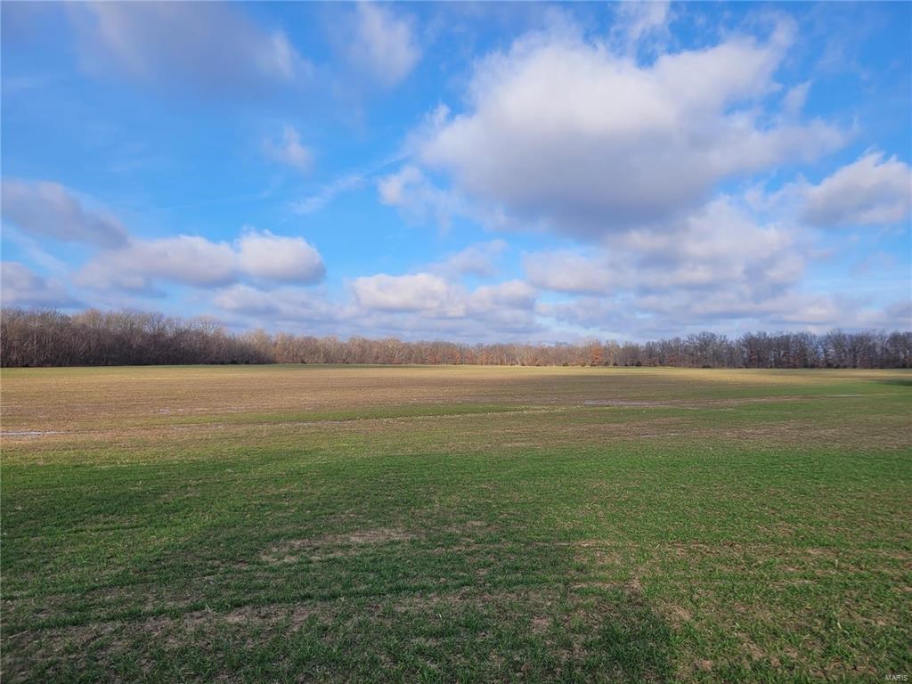 Bales Rd. (81.8+/- Acres)
