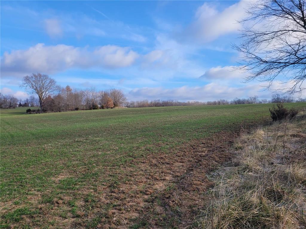 Bales Rd. (55.3+/- Acres)