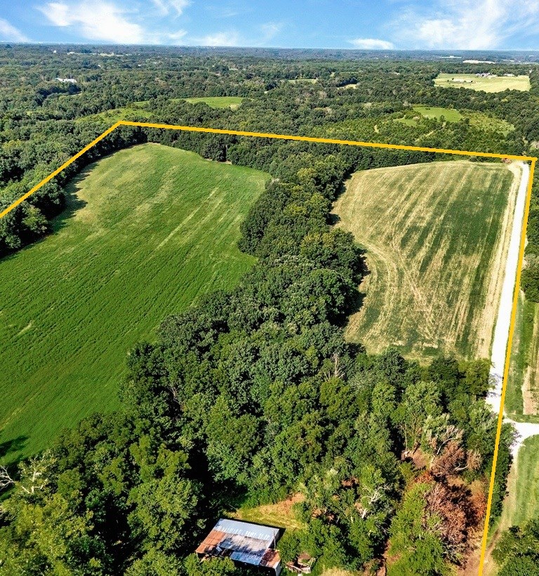 Cave Farm Rd. (49.91+/- Acres)