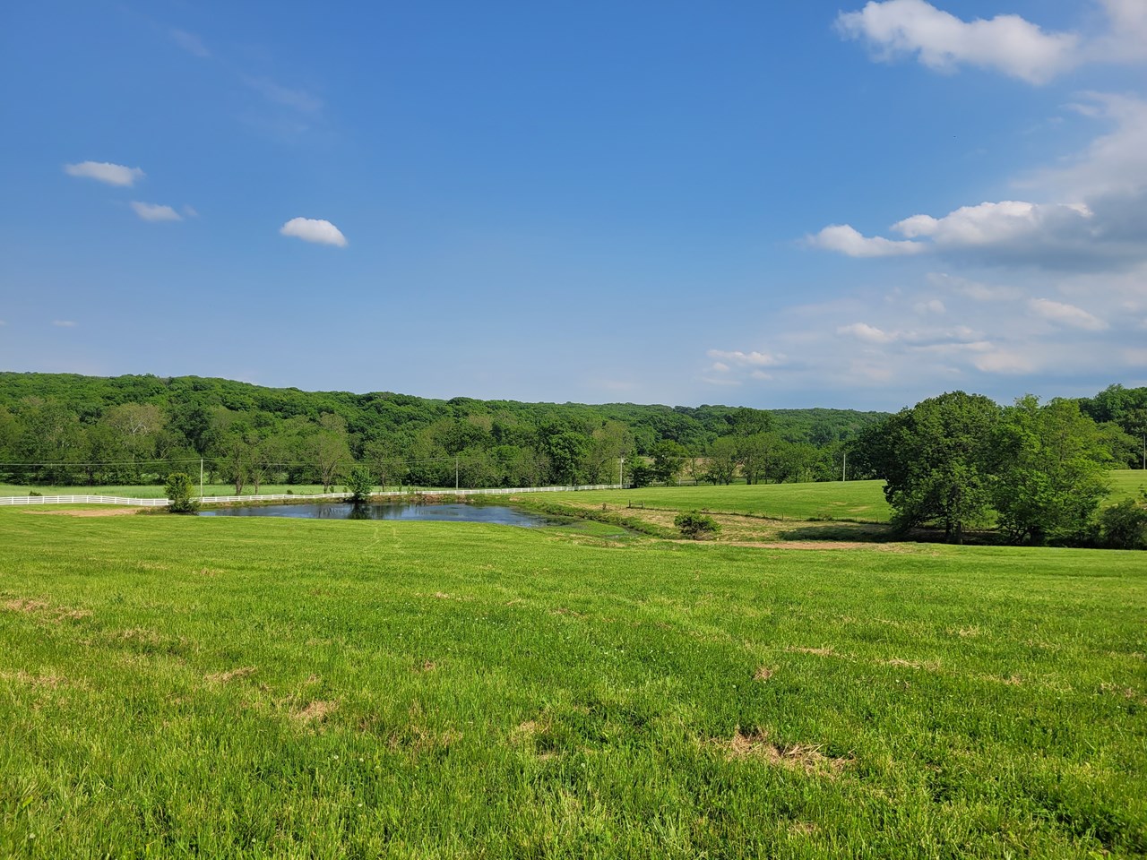 Highway D - Tract 12 (15.7+/- Acres)