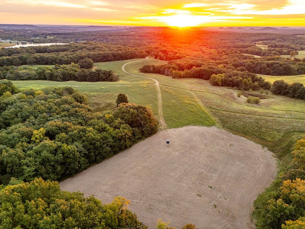 Highway D - Tract 4 (82.1+/- Acres)