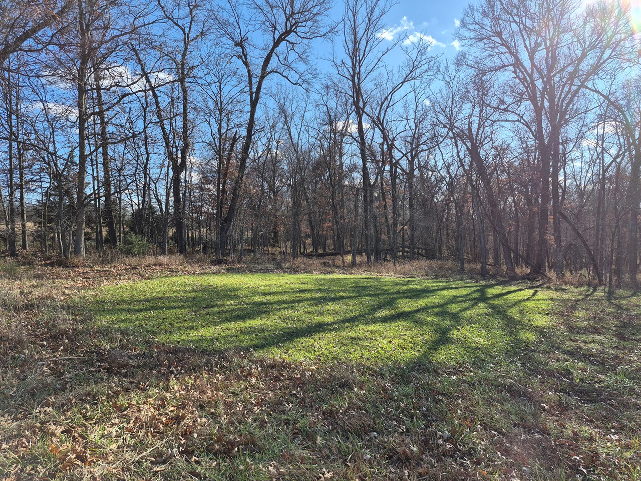County Road 197 - Tract 2 (30+/- Acres)