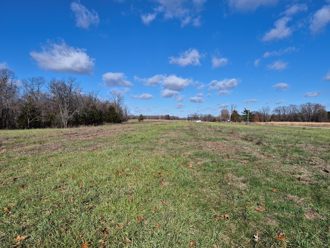 Logan School Rd. (15.2+/- Acres)