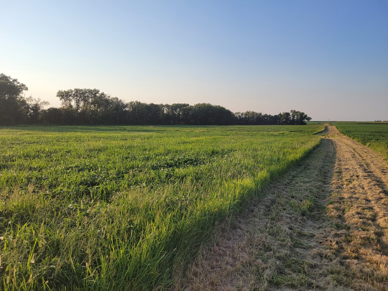 Hwy DD (46+/- Ac) Tract F