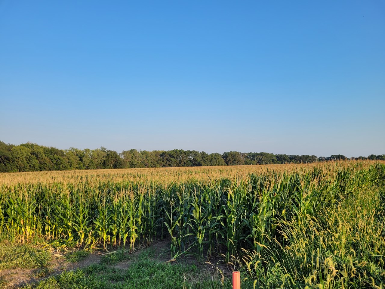 Hwy DD (40+/- Ac) Tract G