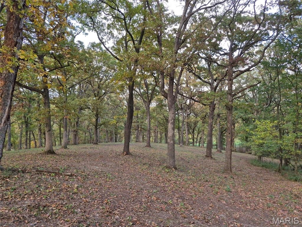 Highway D - Tract 5a (14+/- Acres)