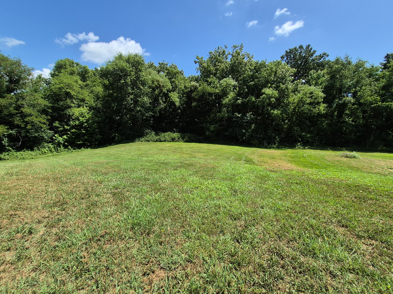 228 WINDROSE LANE