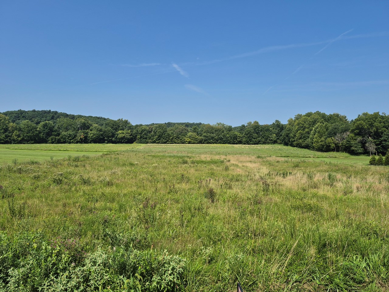 225 Valley View (Lot 29) Drive
