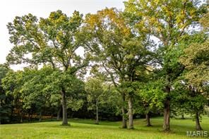 Highway D - Tract 6a (12.1+/- Acres)