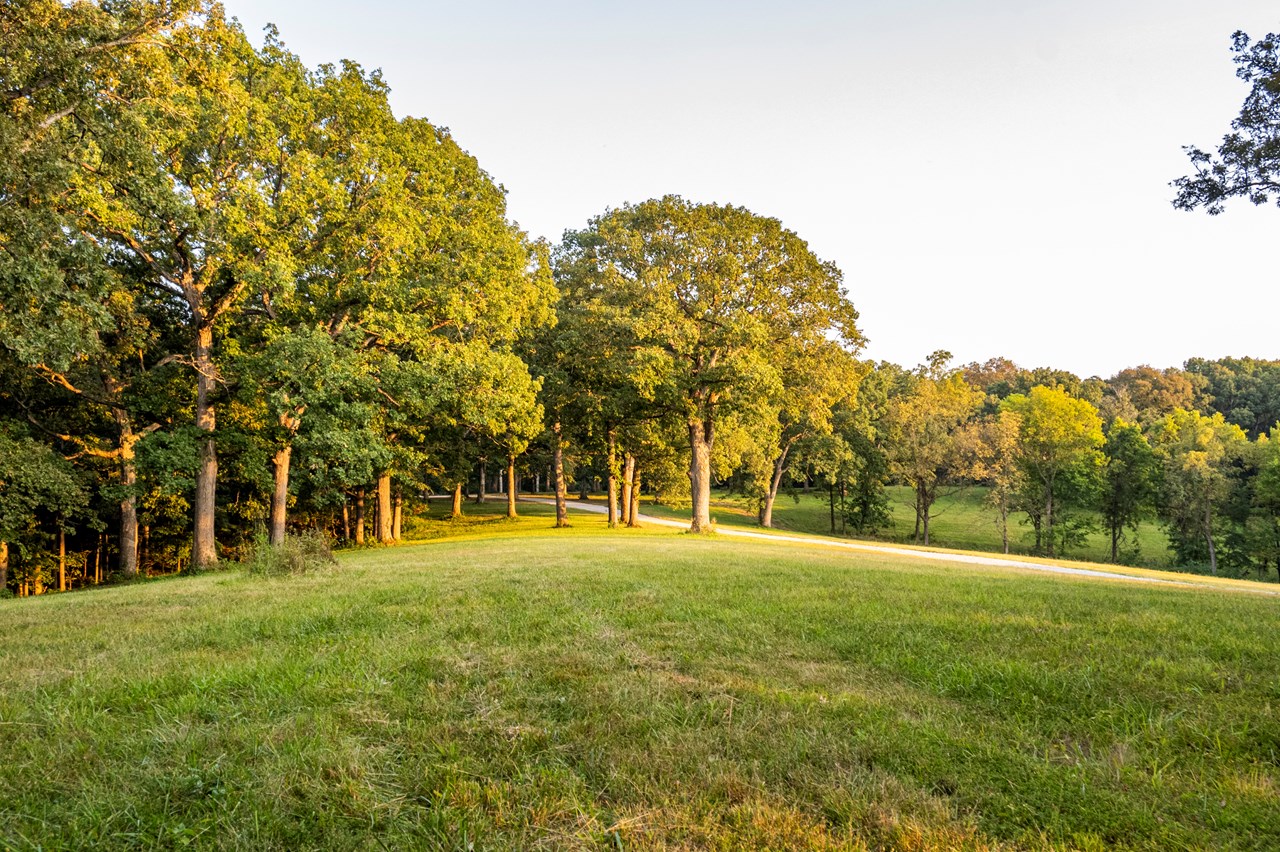 HIGHWAY D - TRACT 6 (23.6+/- ACRES)